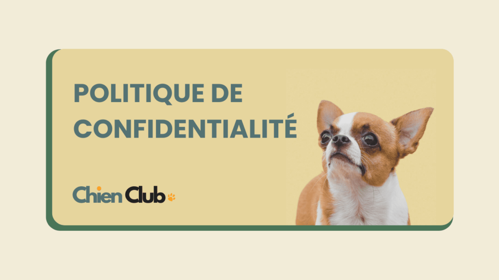 Politique de confidentialité