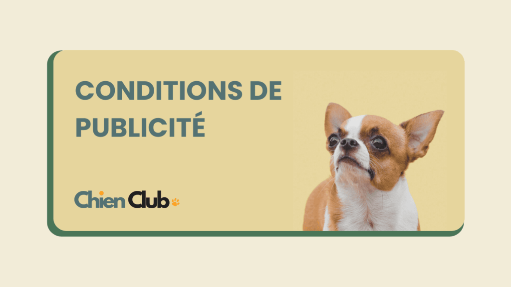 chien club